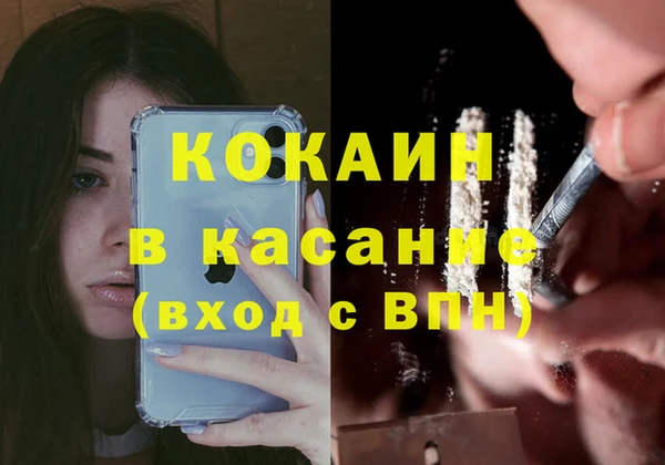 амф Арсеньев
