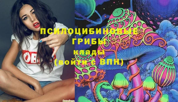 а пвп мука Гусиноозёрск