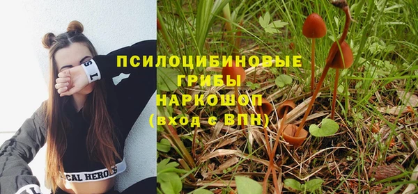 а пвп мука Аркадак