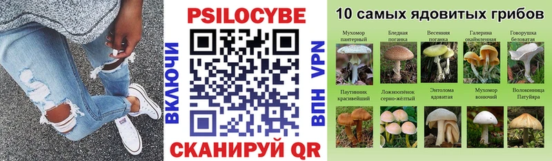 Псилоцибиновые грибы Cubensis  Новоузенск 